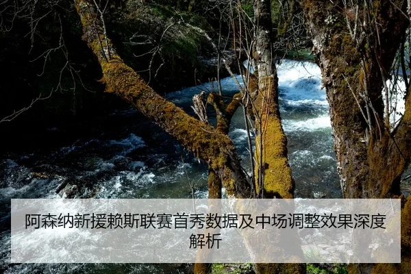 阿森纳新援赖斯联赛首秀数据及中场调整效果深度解析